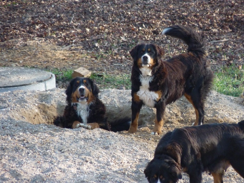 Photos de notre petite famille de Boubous